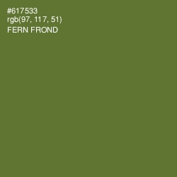 #617533 - Fern Frond Color Image